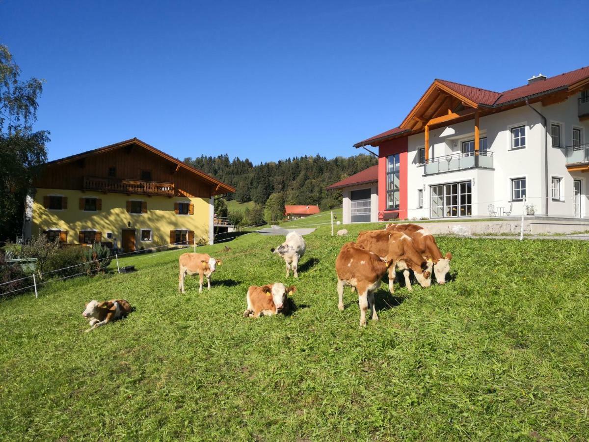 Appartamento Fitzlhof Sankt Koloman Esterno foto
