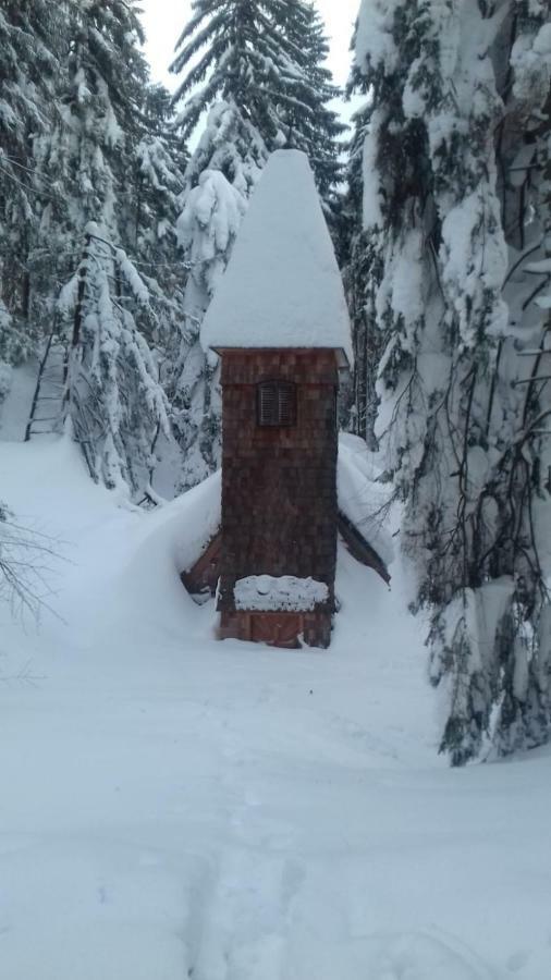 Appartamento Fitzlhof Sankt Koloman Esterno foto